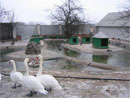 Зоопарк